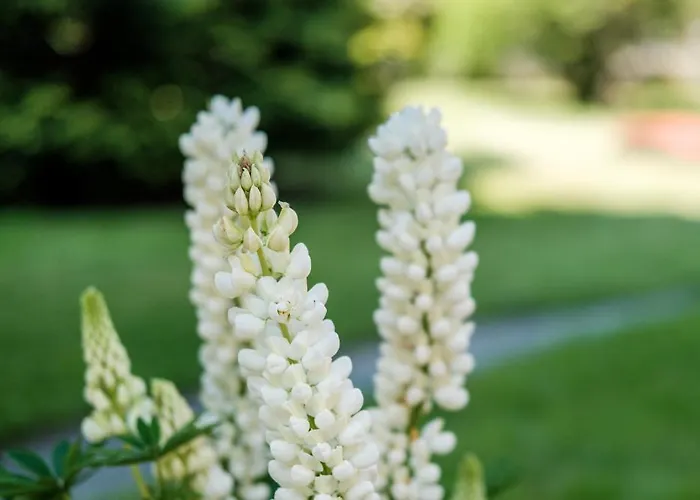 شقة Hanna Hatzendorf